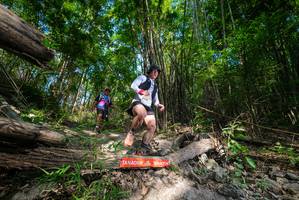 BIB: 
                            <button type="button" onclick="openModal(19388125)" class="btn btn-primary btn-sm float-right btn-popup" data-toggle="modal" data-target=".modal-high-quality">
                        <i class="fas fa-shopping-cart"></i> Add to Cart
                    </button>
                                            <button type="button" onclick="isThisMe(19388125, true)" class="btn btn-success btn-sm float-right btn-popup btn-isme hidden" data-toggle="tooltip" data-placement="bottom" title="นี่คือรูปของคุณใช่ไหม คลิกที่นี่เพื่อเอาเข้าอัลบั้ม">
                        <i class="fas fa-plus"></i> Add to album
                    </button>
                    <button type="button" onclick="isThisMe(19388125, false)" class="btn btn-warning btn-sm float-right btn-popup btn-isnotme hidden">
                        <i class="fas fa-ban"></i> Remove from album
                    </button>